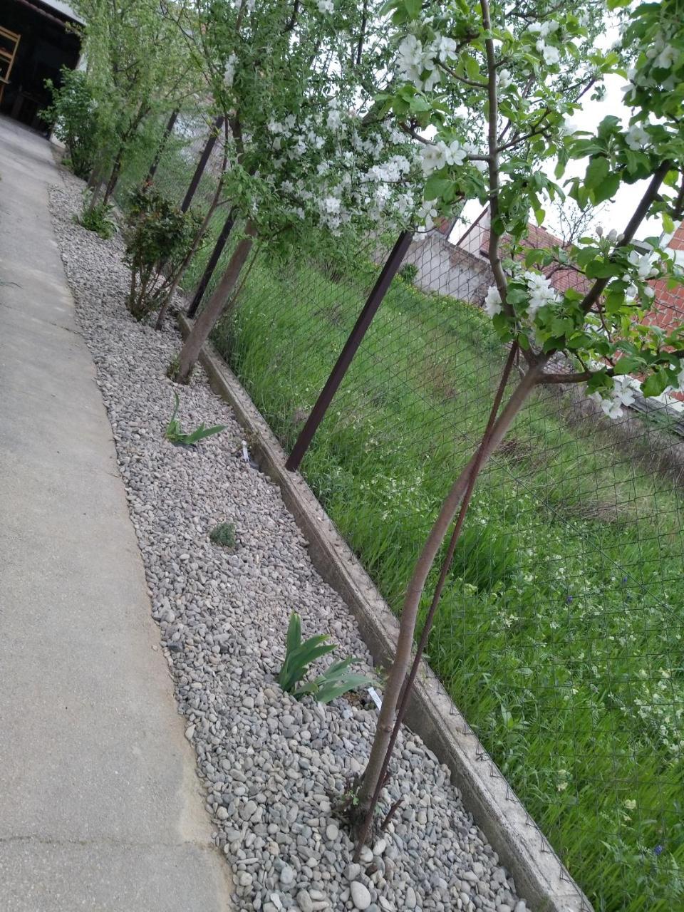 Petros Apartmani Vukovar Ngoại thất bức ảnh